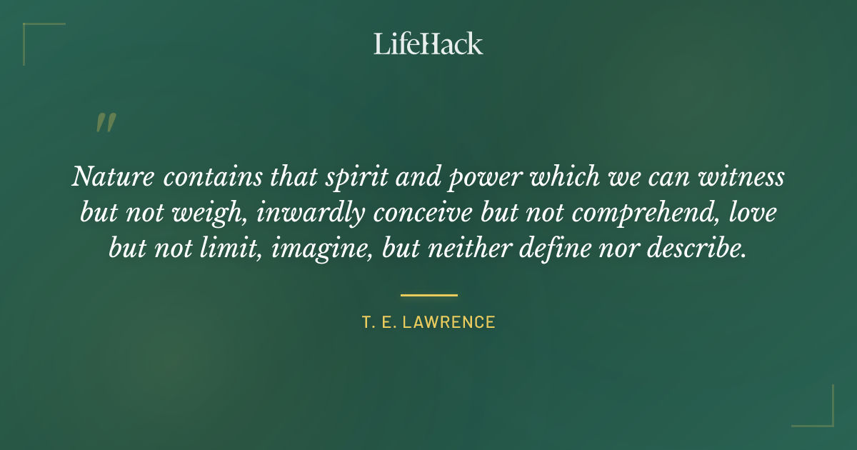 Quote by T. E. Lawrence