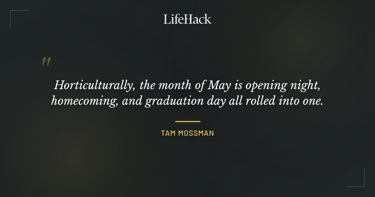Quote by Tam Mossman