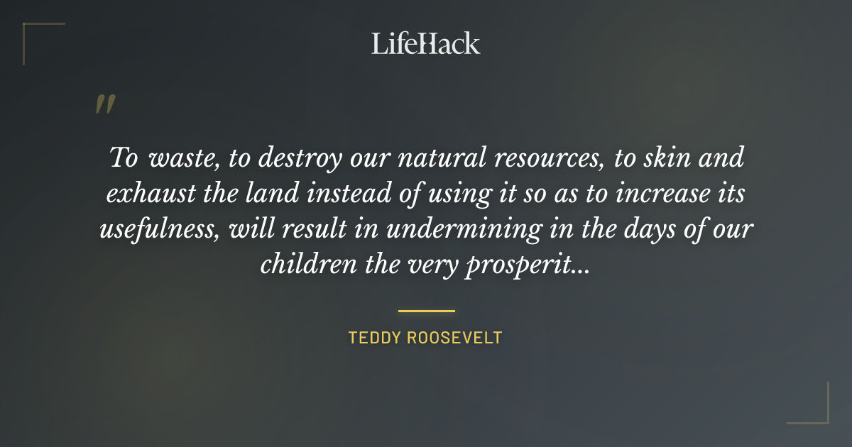 Quote by Teddy Roosevelt
