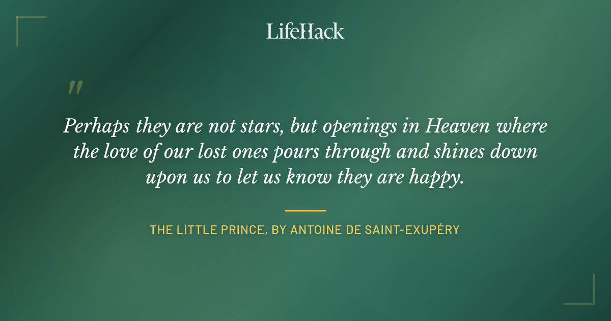 Quote by The Little Prince, by Antoine de Saint-Exupéry