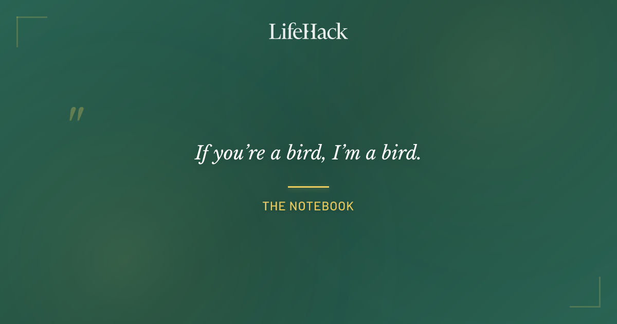 Quote by The Notebook