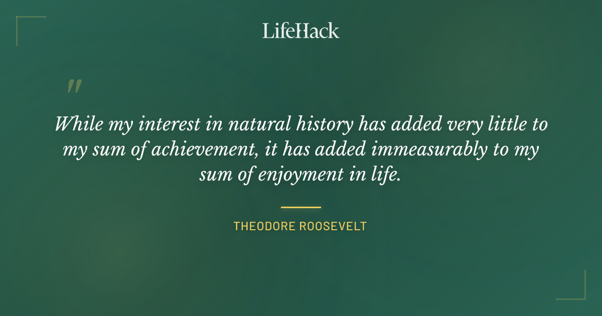 Quote by Theodore Roosevelt