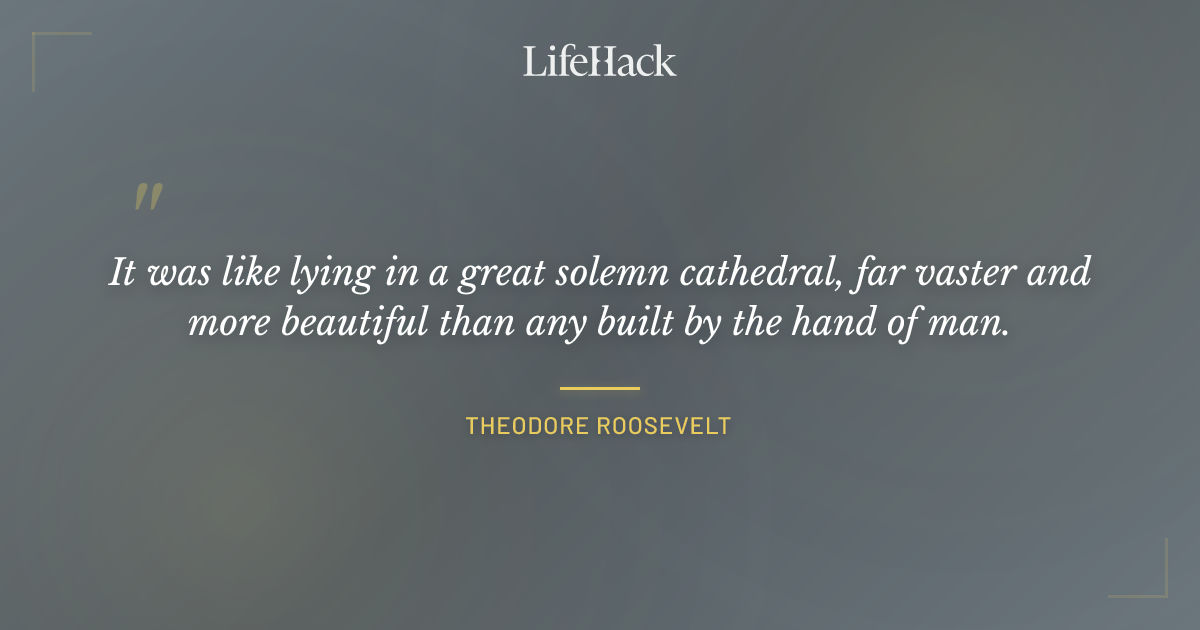 Quote by Theodore Roosevelt