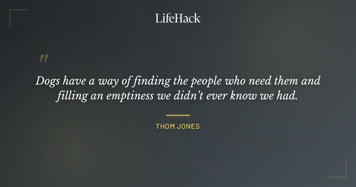 Quote by Thom Jones