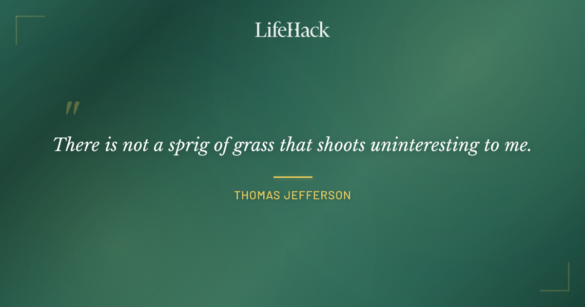 Quote by Thomas Jefferson