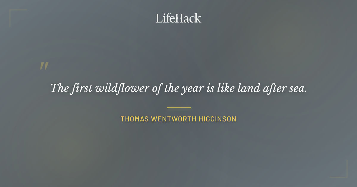 Quote by Thomas Wentworth Higginson