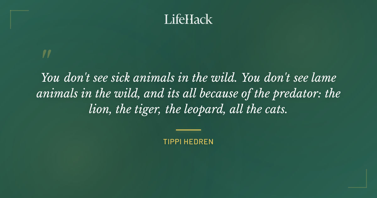 Quote by Tippi Hedren