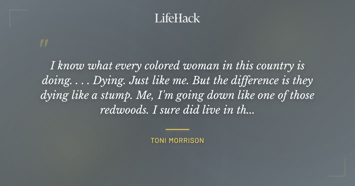 Quote by Toni Morrison