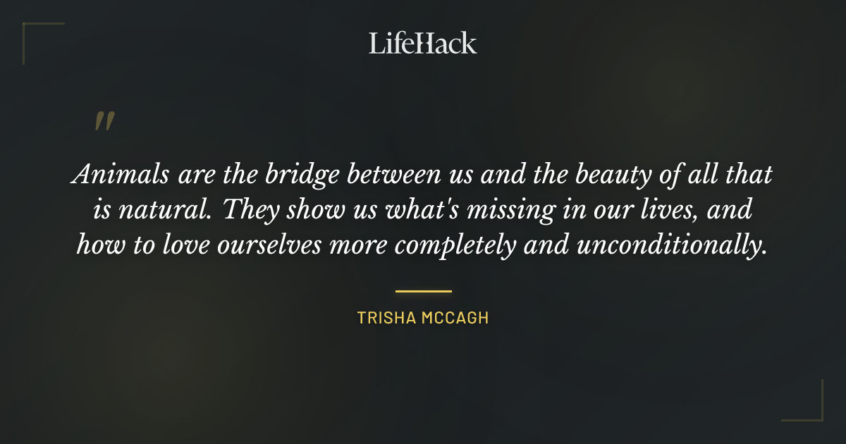 Quote by Trisha McCagh