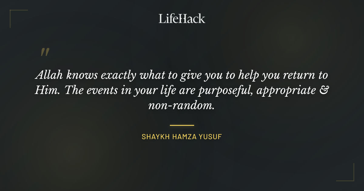 Quote by Shaykh Hamza Yusuf