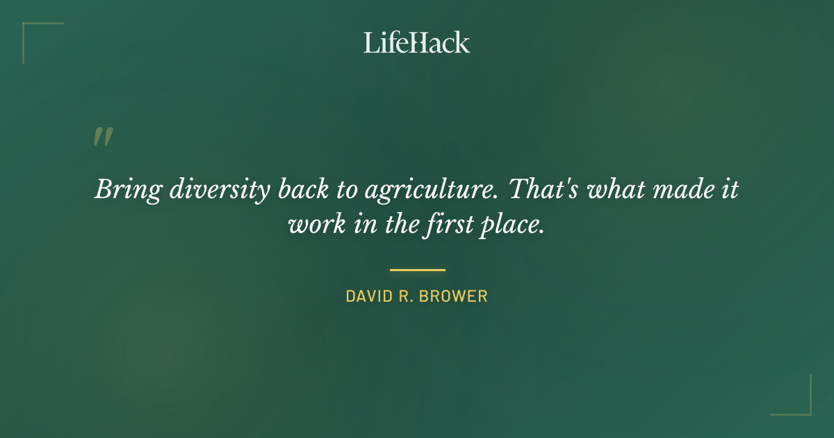 Quote by David R. Brower