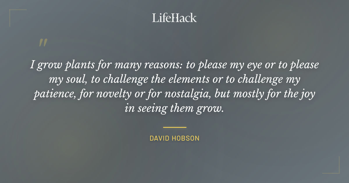 Quote by David Hobson