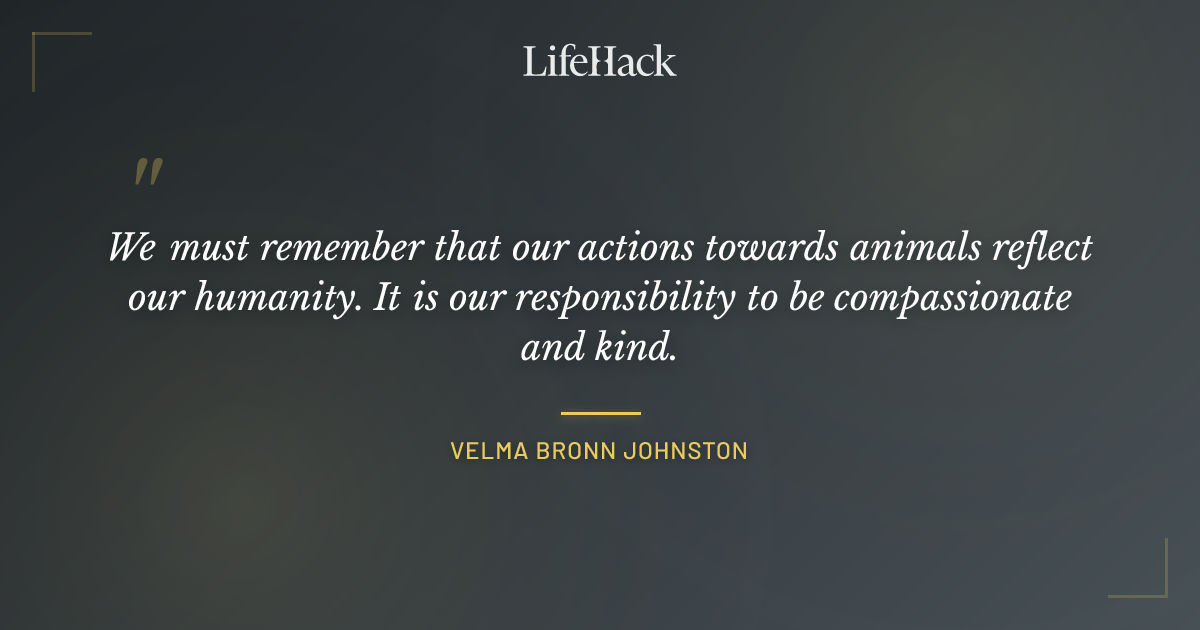 Quote by Velma Bronn Johnston