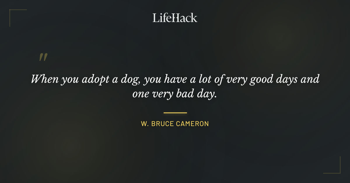 Quote by W. Bruce Cameron